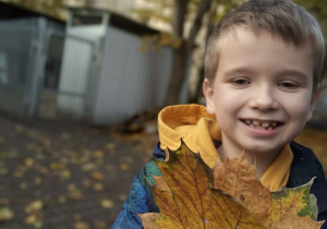 Pierwsze zdjęcie Janka z grupy Pszczółek