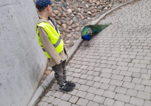 Zajączki w ZOO