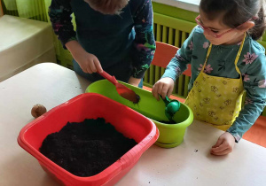 Wiosenny kącik przyrodniczy w grupie Puchatków