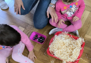 Dwie dziewczynki ubrane na różowo siedzą na podłodze obok miski z trocinami i miseczki ze szklanymi kulkami