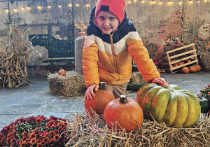 Trzecie zdjęcie Szymona z grupy Zajączków