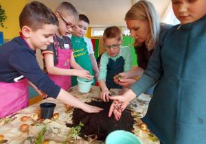 Pięcioro dzieci w fartuszkach wraz z nauczycielką wsypują rozsypaną na stoliku ziemię do doniczek