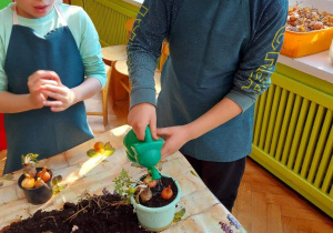 Dziecko podlewa plastikową konewką świeże sadzonki